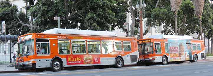 LA Metro Local NABI 40-LFW 7816 & 7714